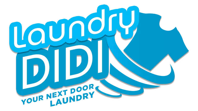 Logo - Laundry Didi